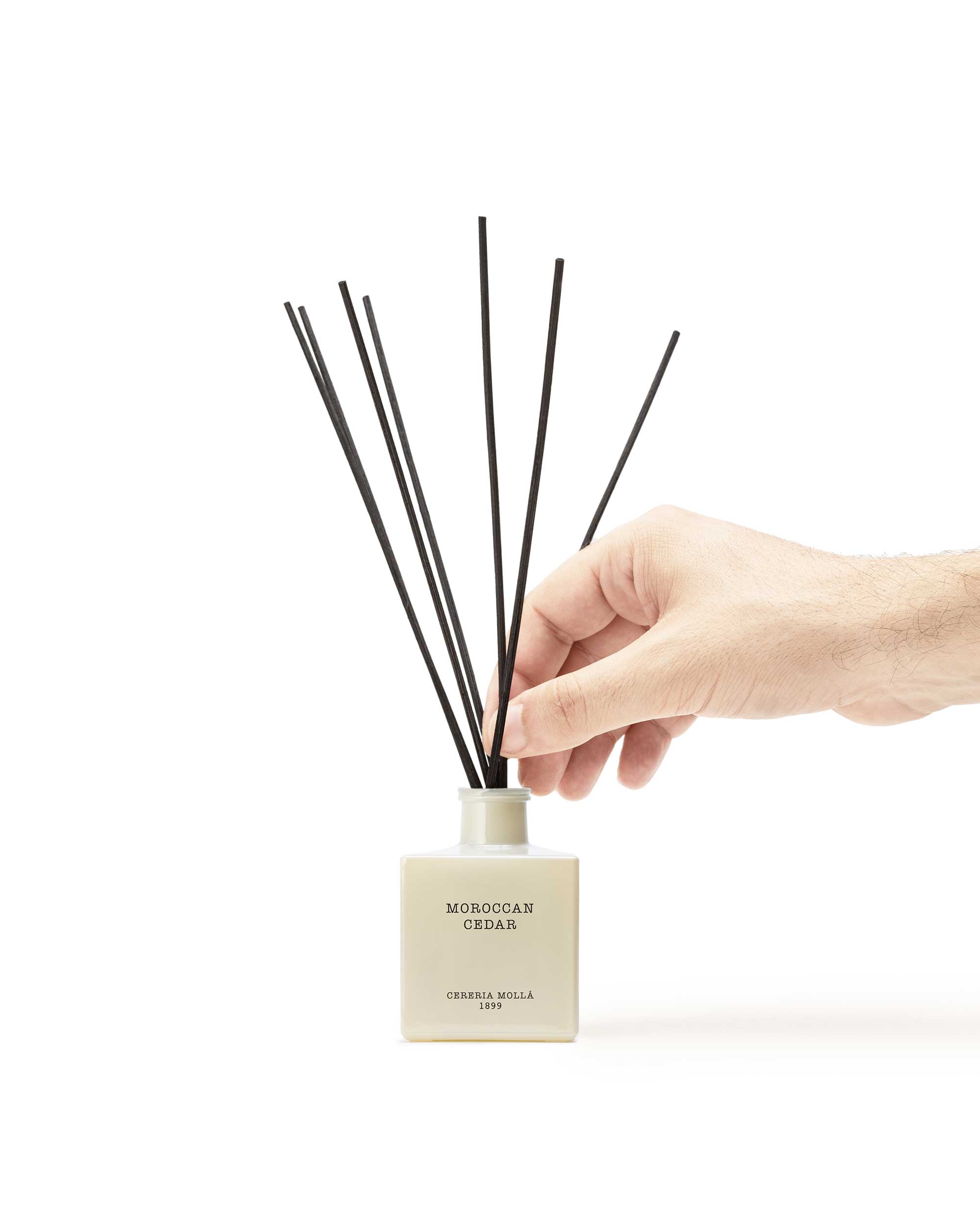 cereria-moll-moroccan-cedar-diffusor-100-ml-zedernholz image 5