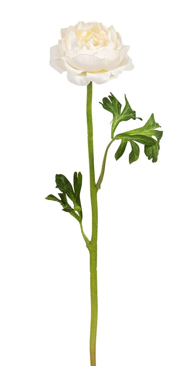 ranunkel-kunstblume-elfenbein-46-cm-bl-tenstiel image 1