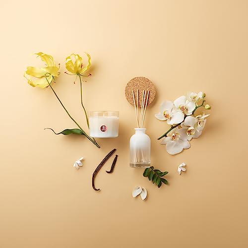 bolsius-true-joy-set-vanilla-delight-duftkerze-st-bchen image 6