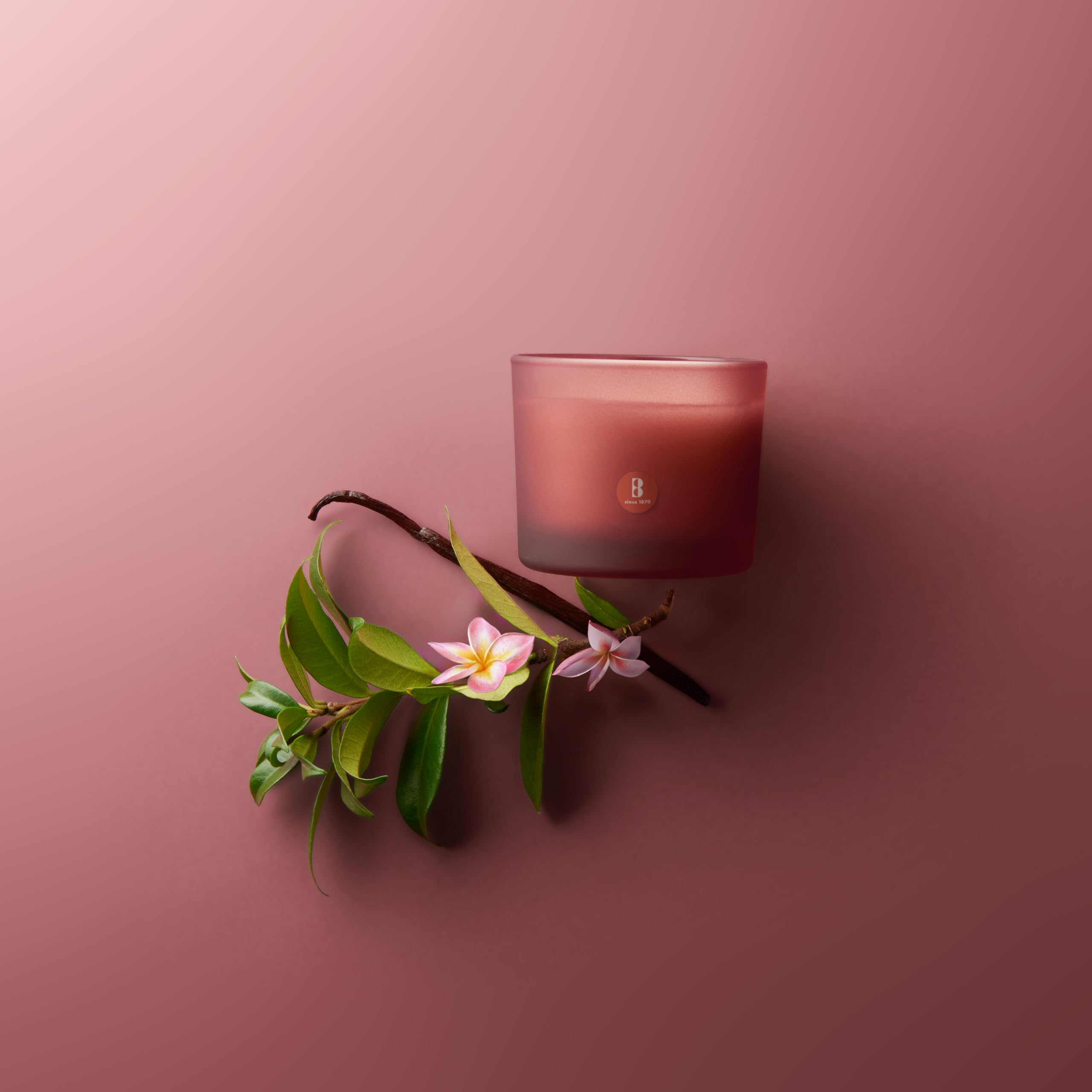 bolsius-true-joy-duftkerze-floral-blessings-bordeaux-21h image 2
