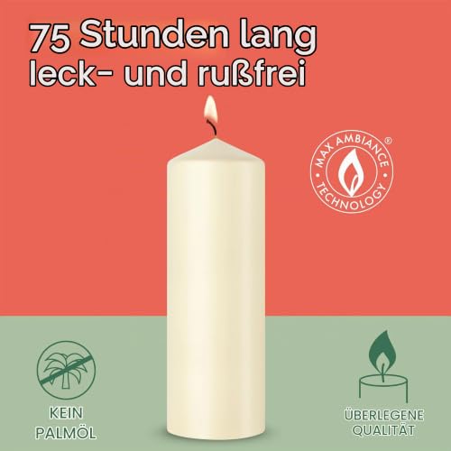 bolsius-essentials-stumpenkerzen-beige-4er-20x7-cm-veganes-wachs image 5